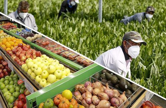 impianto industriale per trattamento resine alimentari e scambio ionico