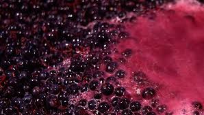 Impianto industriale per trattamento e filtrazione mosto d'uva